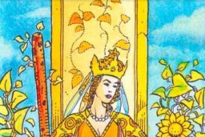 Tule element - võlukeppide kuninganna Taro kaart, mis tähendab ennustamist
